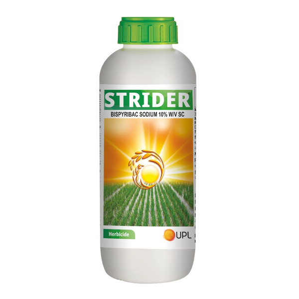 UPL Strider Bispyribac Sodium 10% SC Herbicide