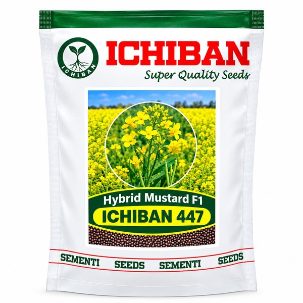 Ichiban 447 F1 Hybrid Mustard Seeds (Sarso ke Beej)