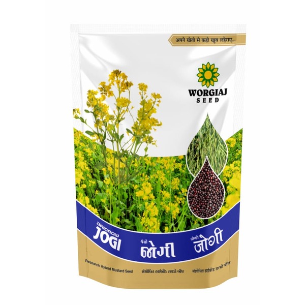 Jaigrow Jogi Research Hybrid Mustard Seeds (Sarso ke Beej)